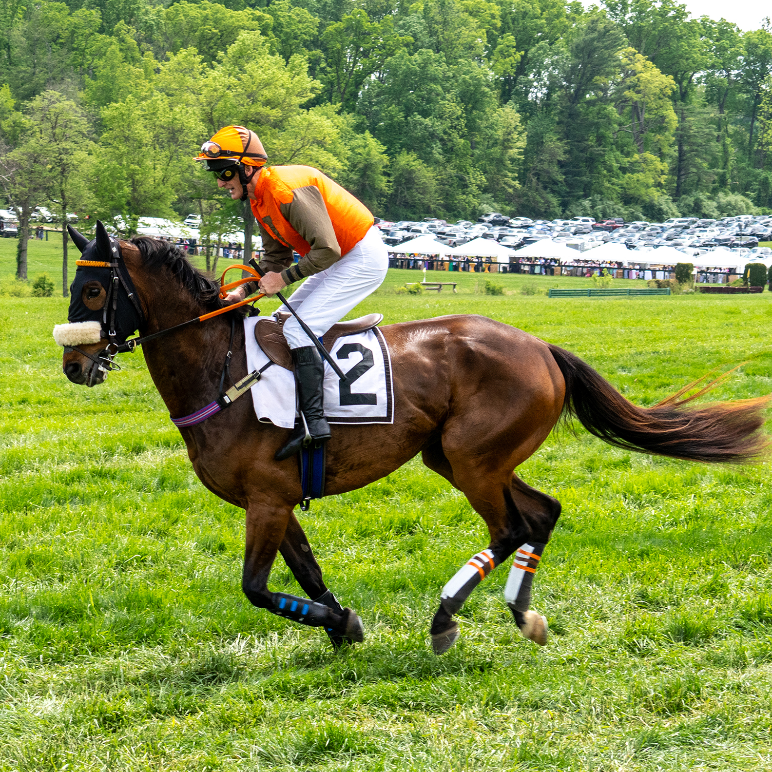 The Virginia Gold Cup